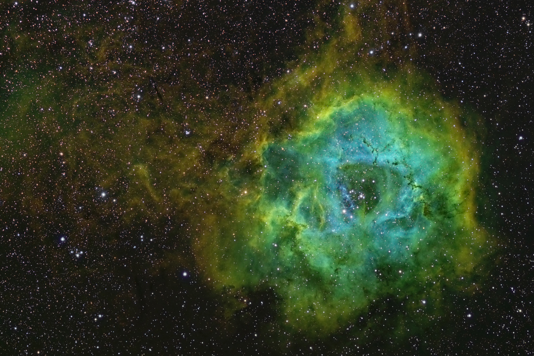 NGC 2237-9 The Rosette Nebula - In Mapped Color.